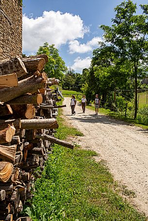 Trekking Alta Langa